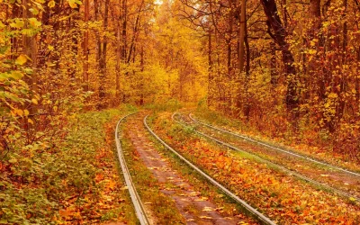 Vigezzina-Centovalli Railway: the Foliage Train