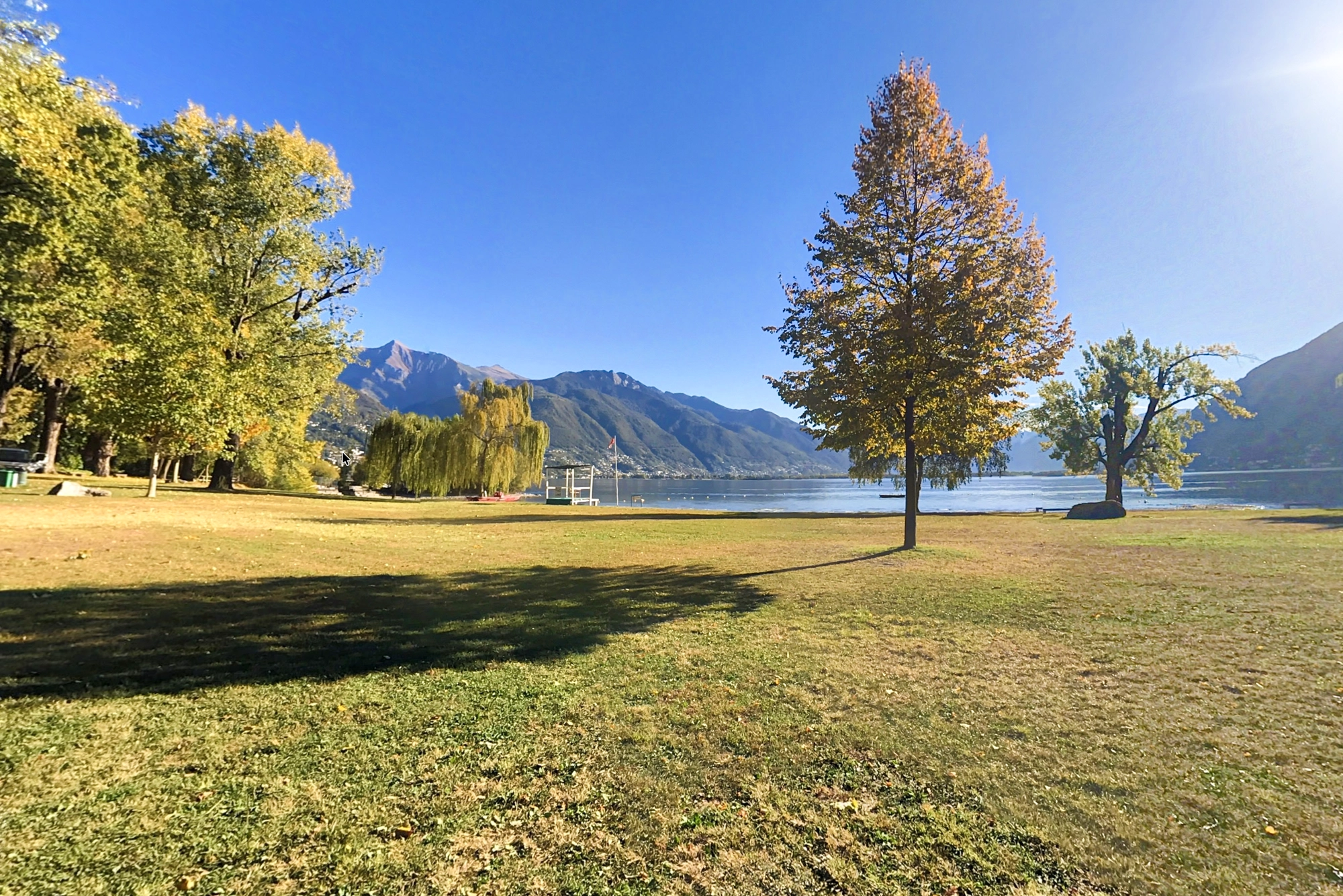 Camellia Park (Locarno)