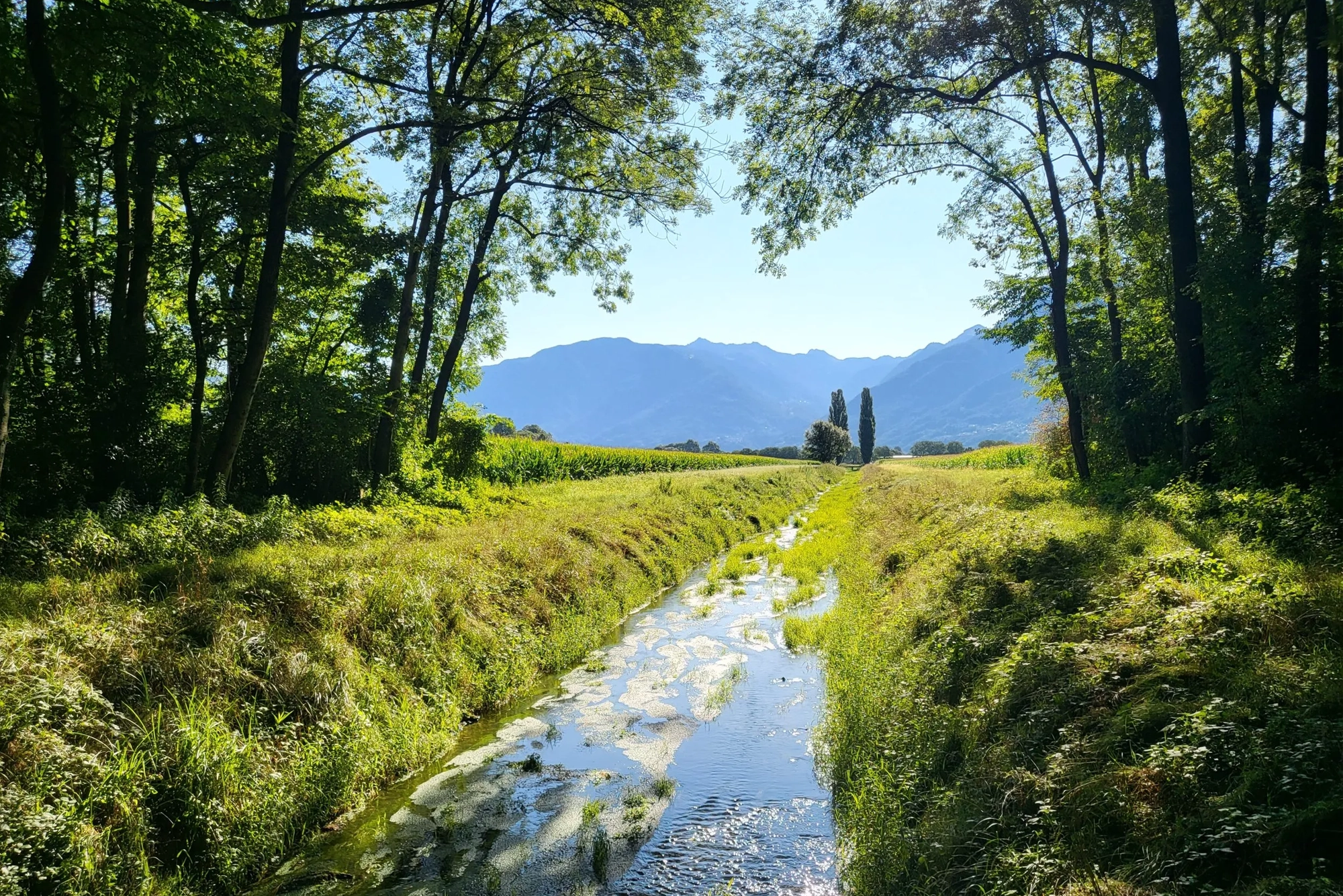 Piano di Magadino Natural Park